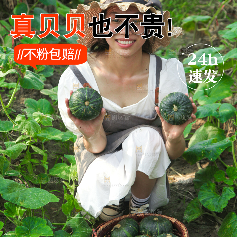 手里拿着贝贝南瓜