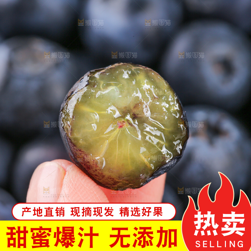 浅底上的怡颗莓