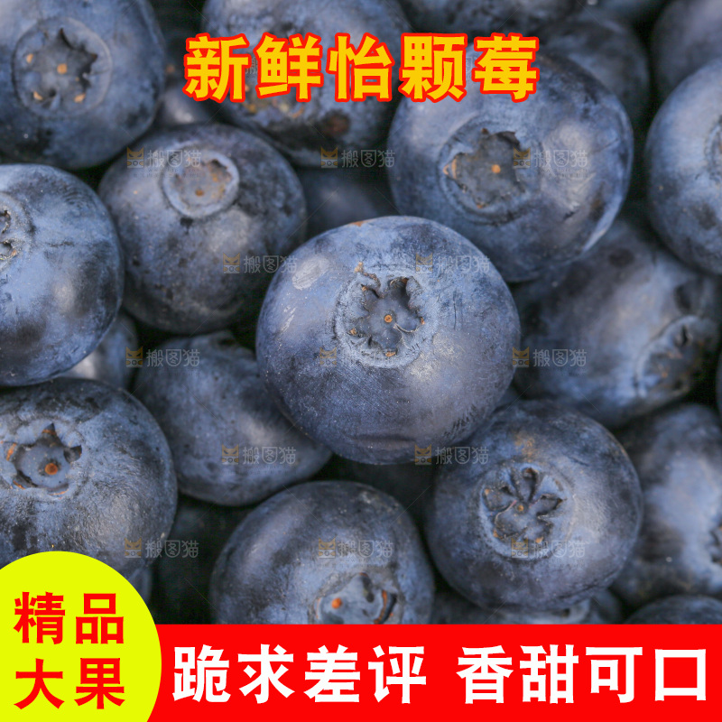 浅底上的怡颗莓