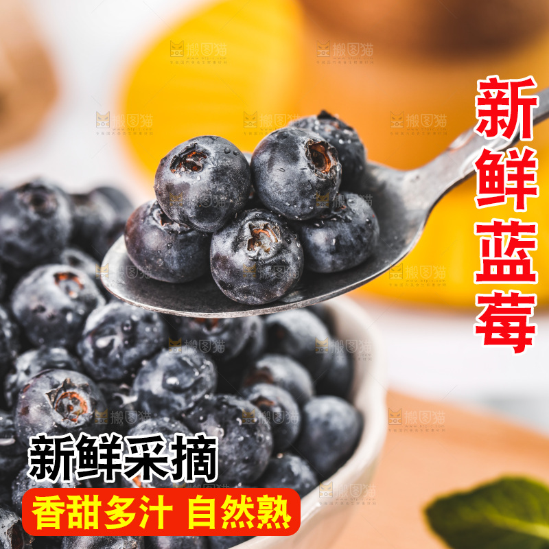 浅底上的新鲜蓝莓
