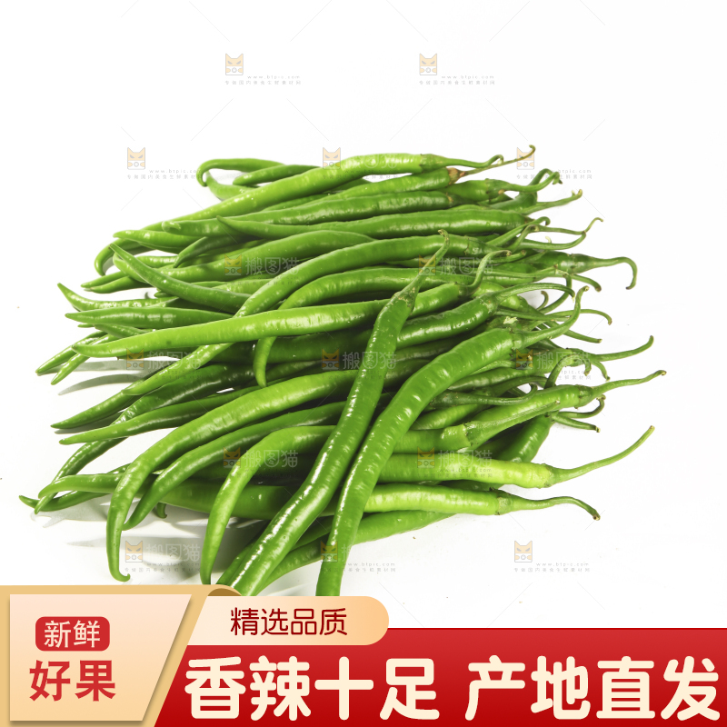 白底上的新鲜线椒