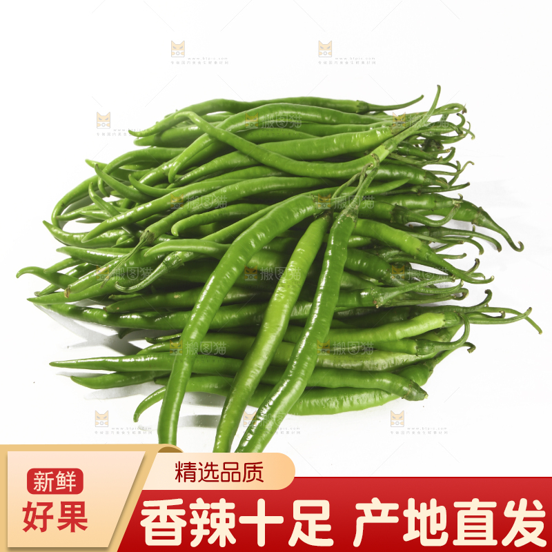 白底上的新鲜线椒