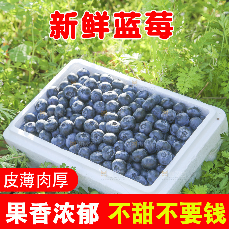 手里拿着蓝莓鲜果