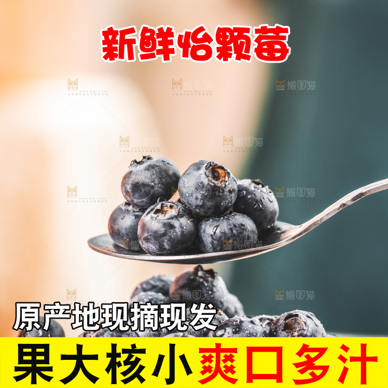 浅底上的新鲜蓝莓