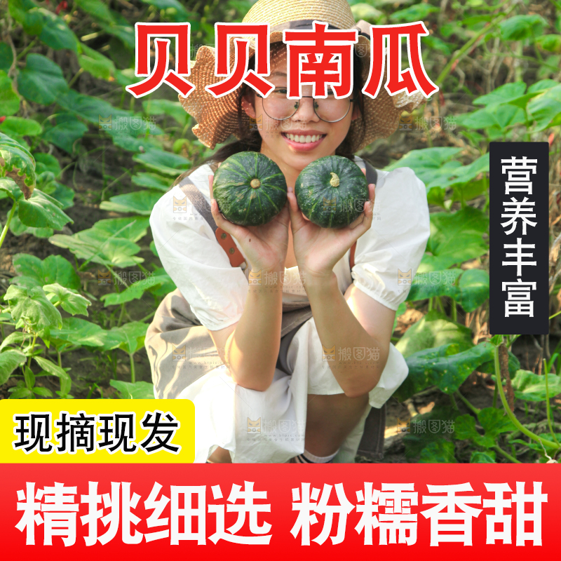 手里拿着贝贝南瓜
