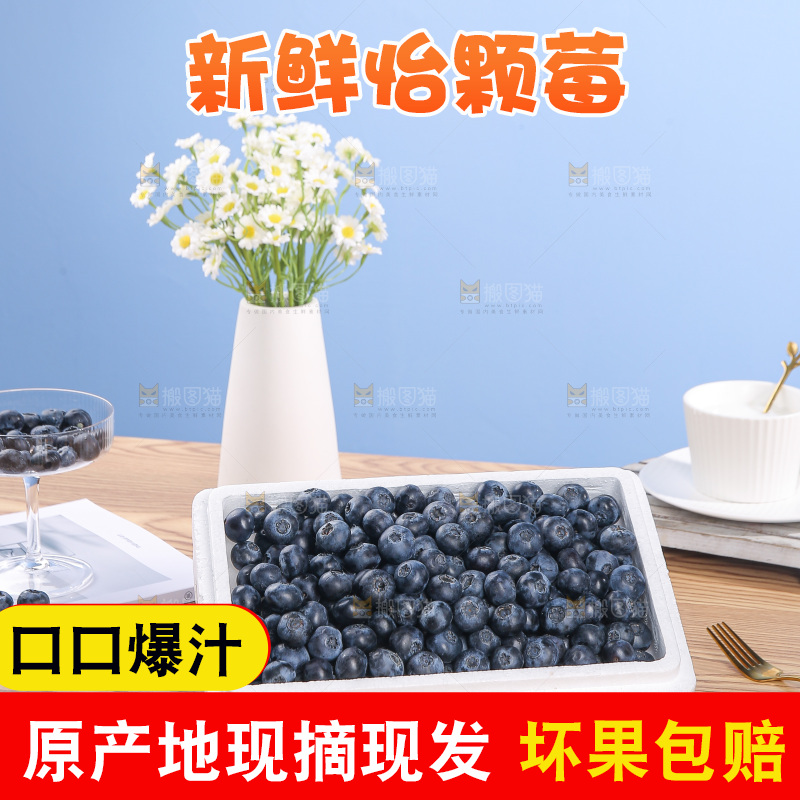 浅底上的怡颗莓