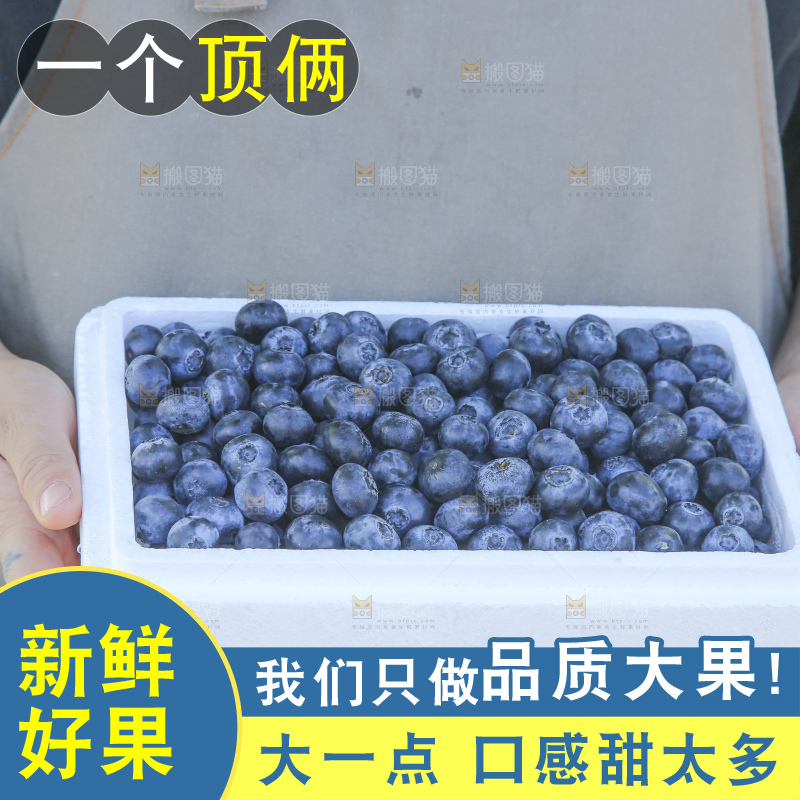 手里拿着蓝莓鲜果