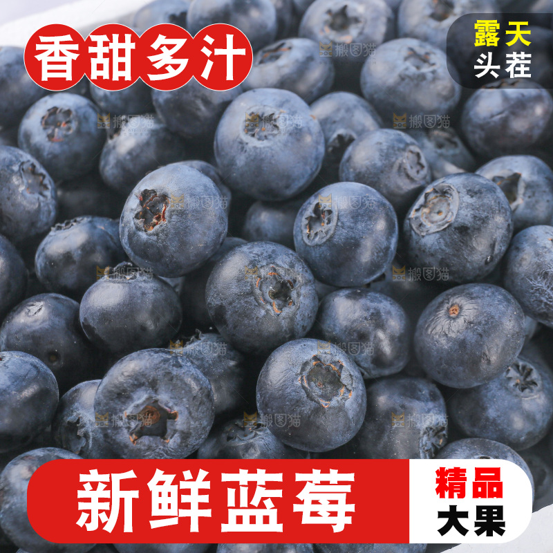 浅底上的怡颗莓