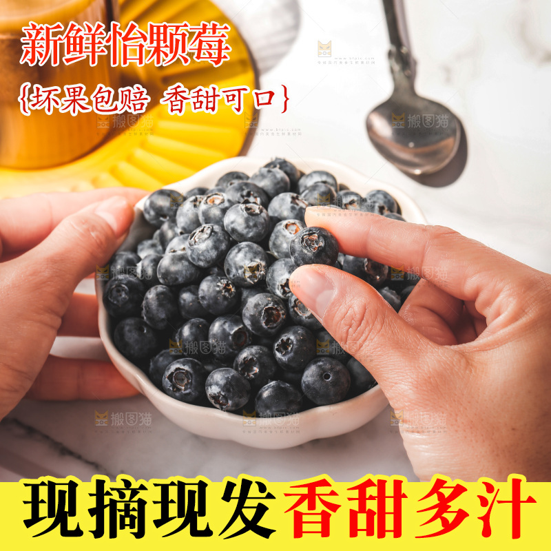 浅底上的新鲜蓝莓