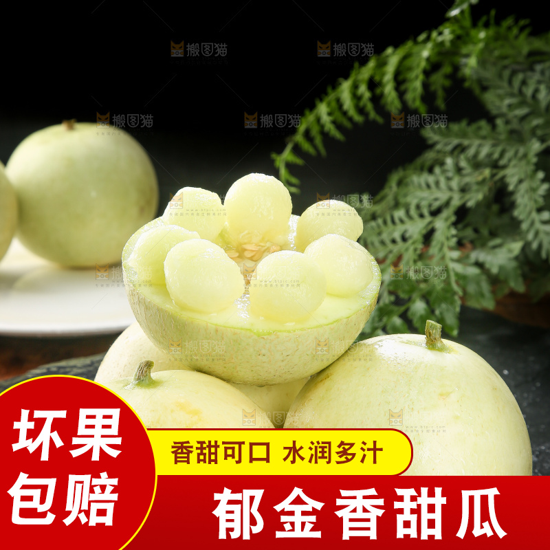 深底上的郁金香甜瓜