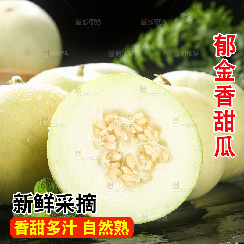 深底上的郁金香甜瓜