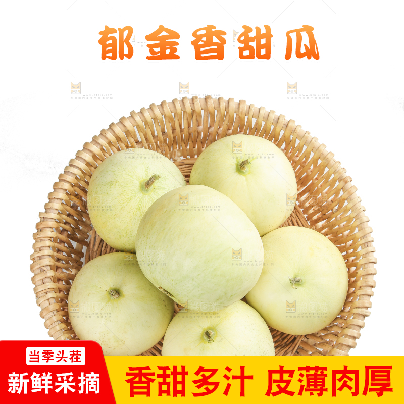 白底上的郁金香甜瓜