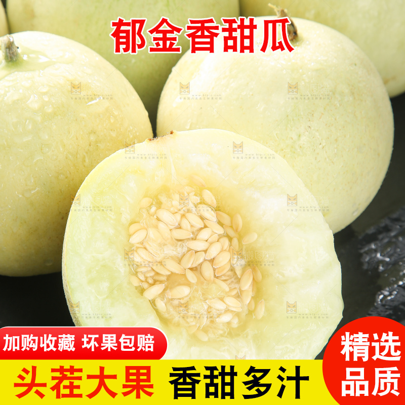 深底上的郁金香甜瓜