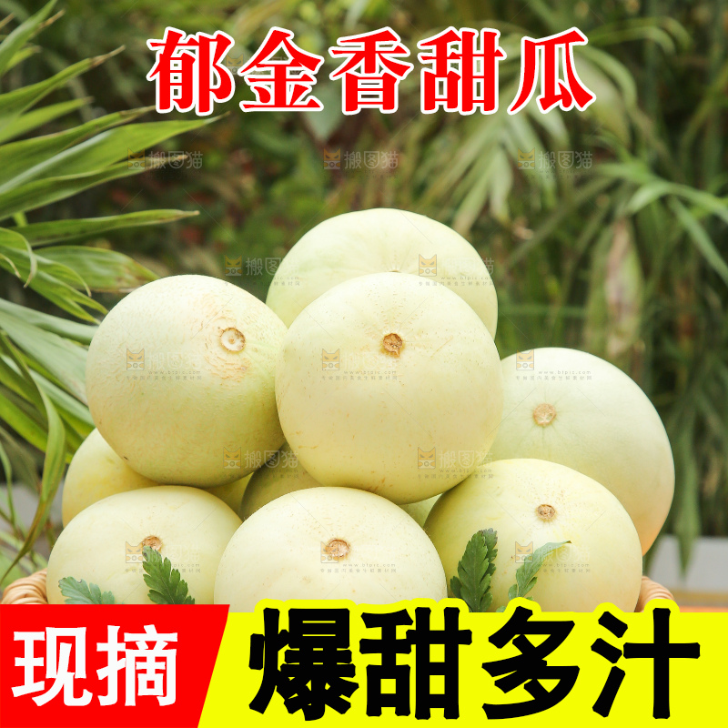 木底上的云南小香瓜