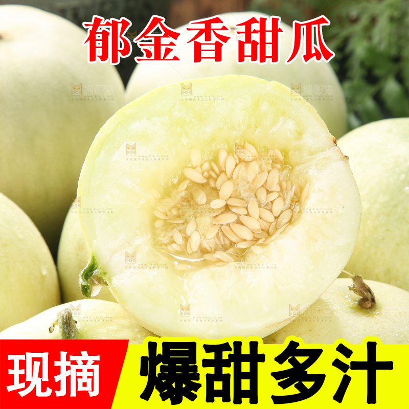 深底上的郁金香甜瓜