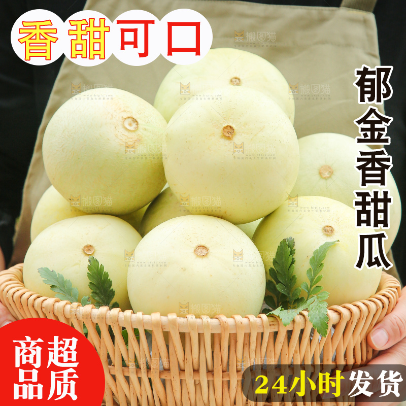 手里拿着郁金香甜瓜
