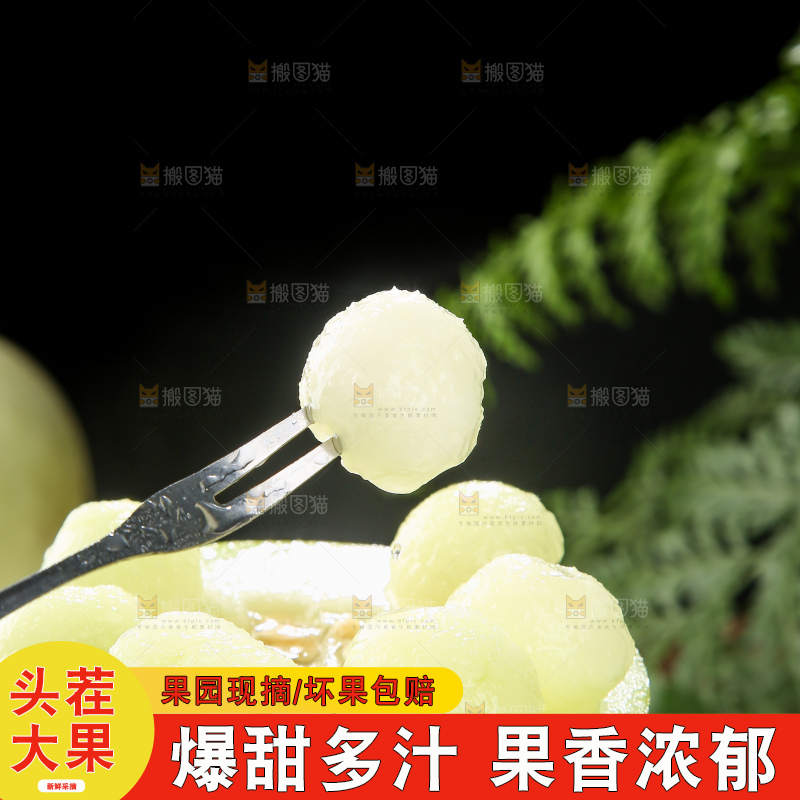 深底上的郁金香甜瓜