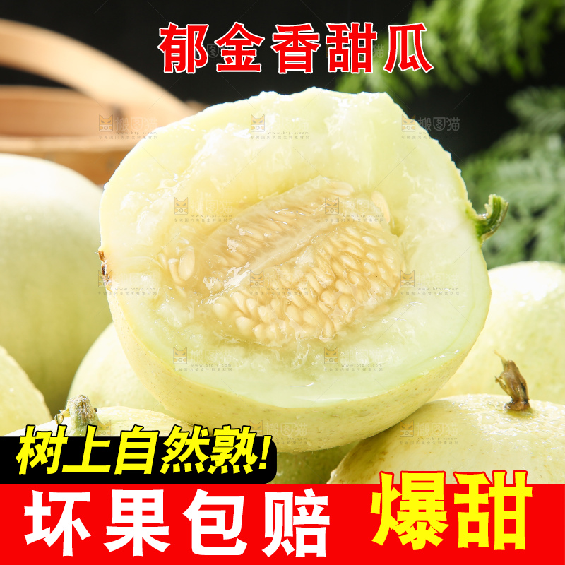 深底上的郁金香甜瓜