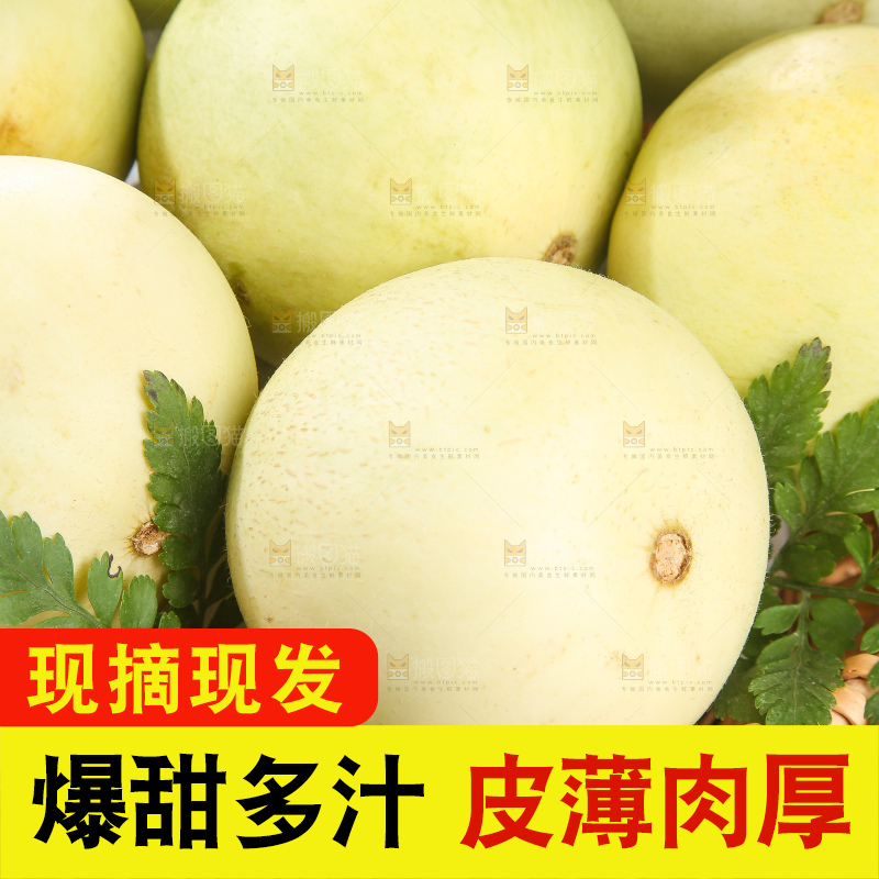 深底上的郁金香甜瓜