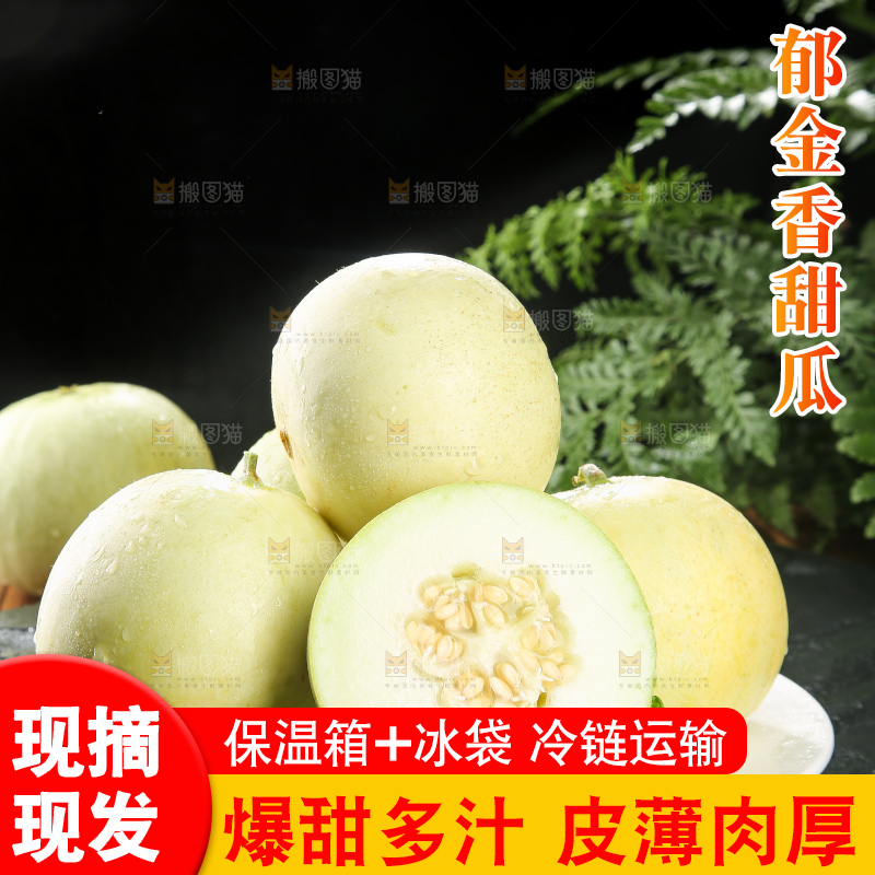 深底上的郁金香甜瓜