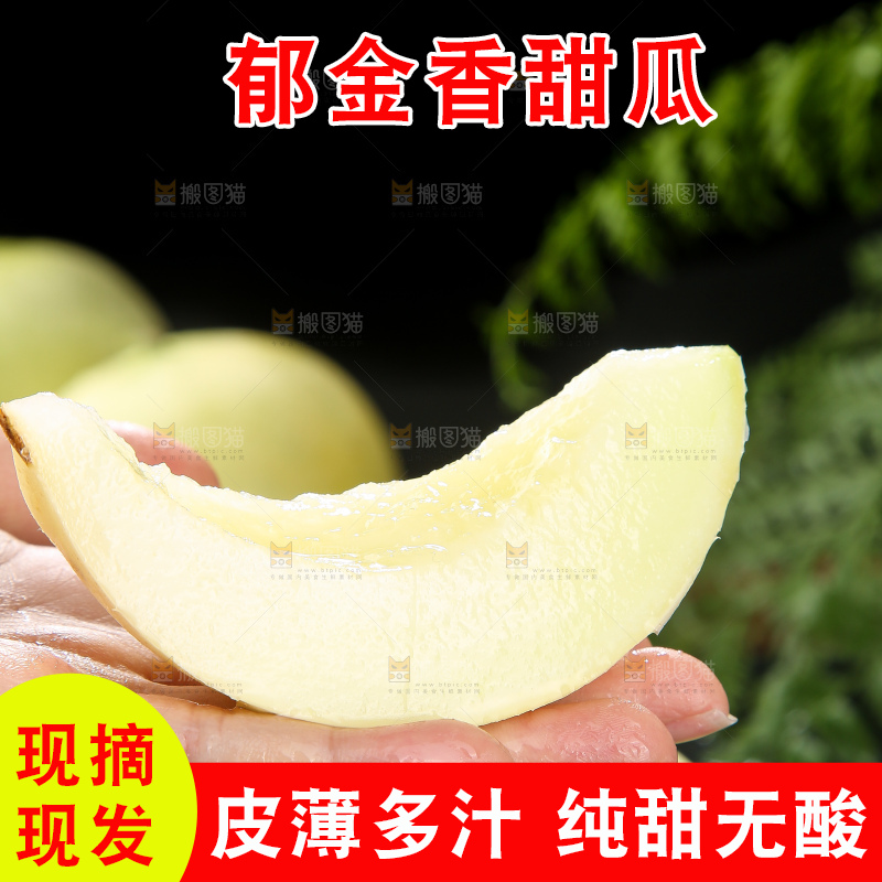 深底上的郁金香甜瓜