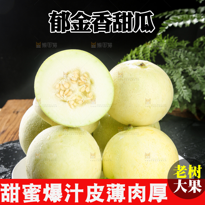 深底上的郁金香甜瓜