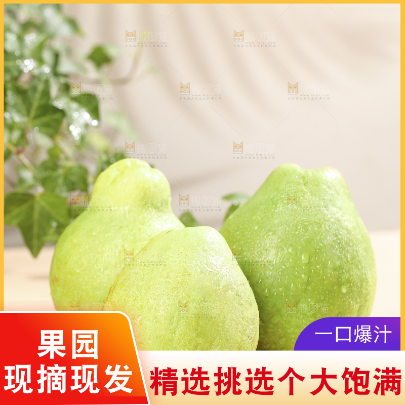 浅底上的红心软芭乐
