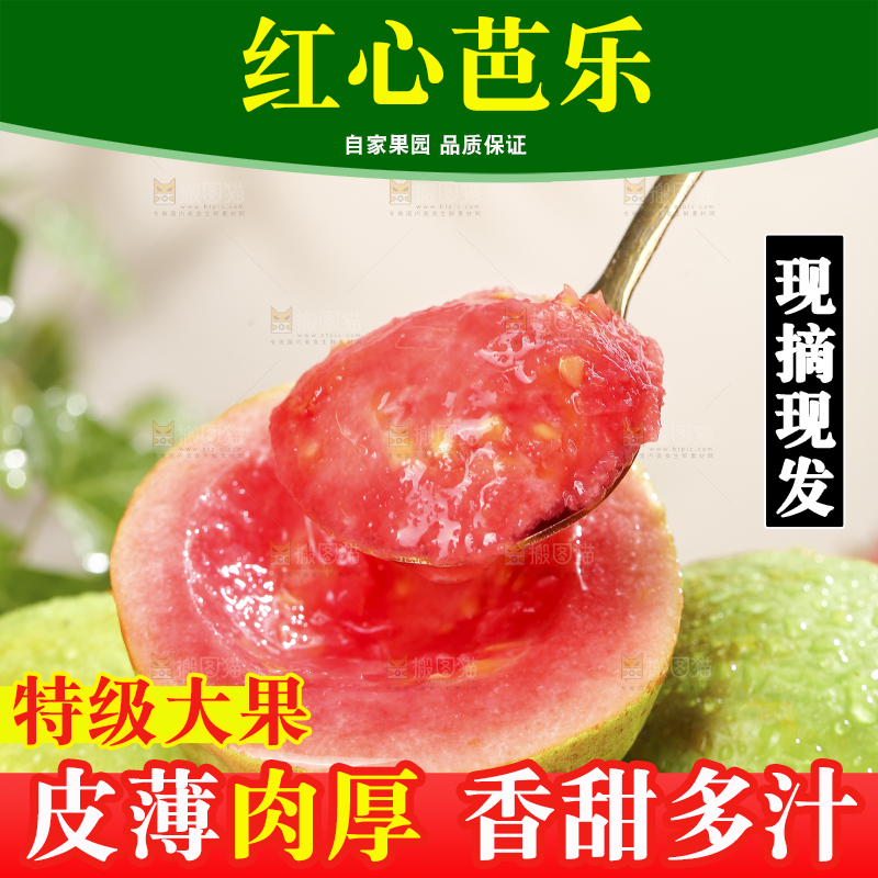 浅底上的红心软芭乐
