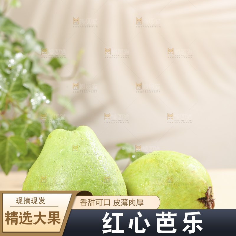 浅底上的红心软芭乐