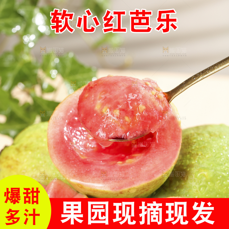 浅底上的红心软芭乐