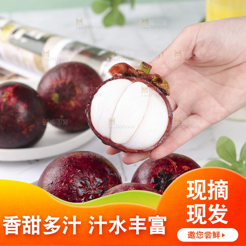 浅底上的泰国山竹