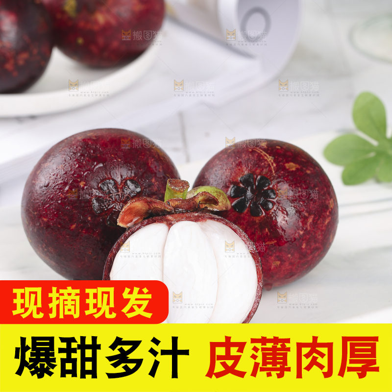浅底上的泰国山竹