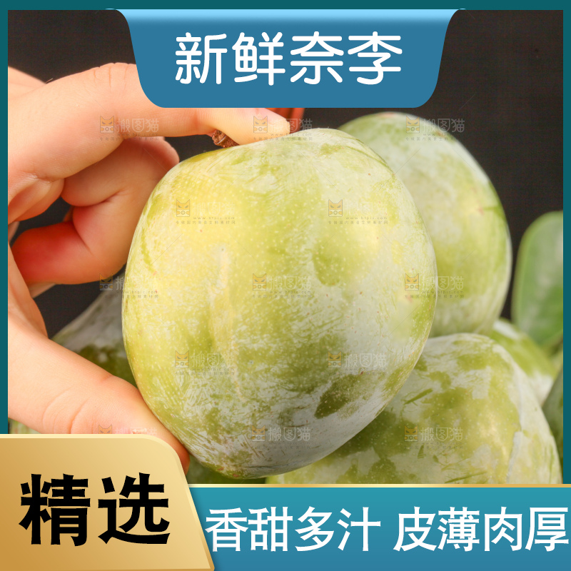 深底上的油奈李