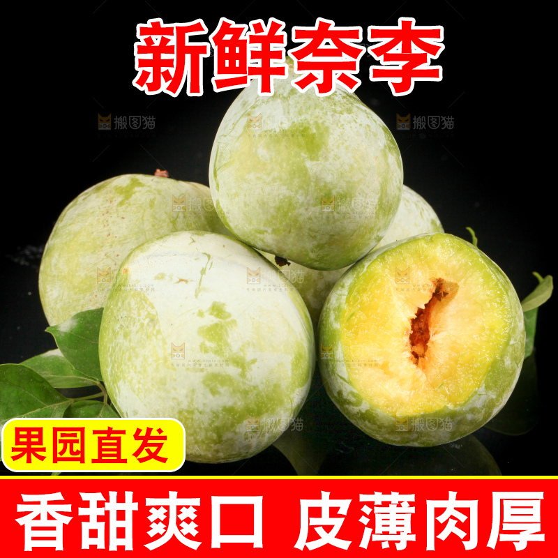 深底上的油奈李