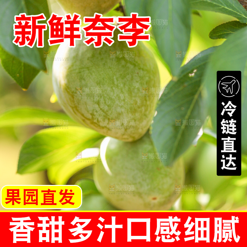 树上的新鲜奈李