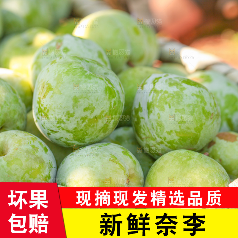 篮子里现摘奈李