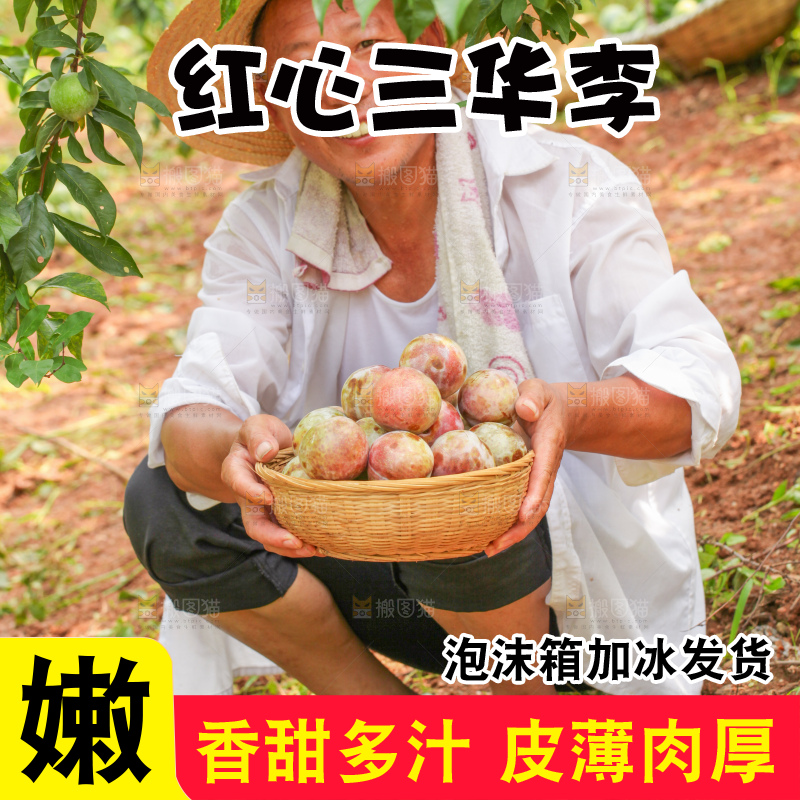 手里拿着新鲜三华李