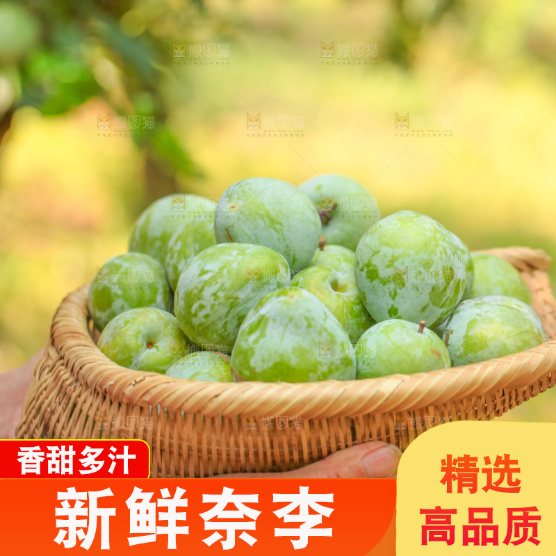 手里拿着新鲜奈李