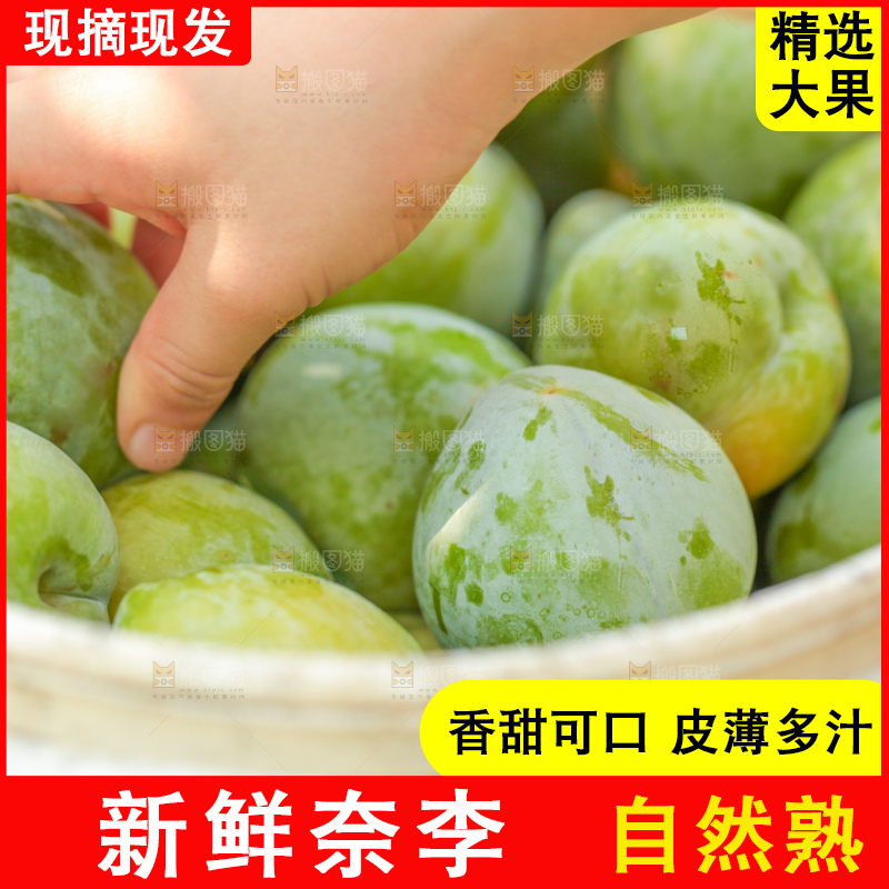 堆放着新鲜奈李
