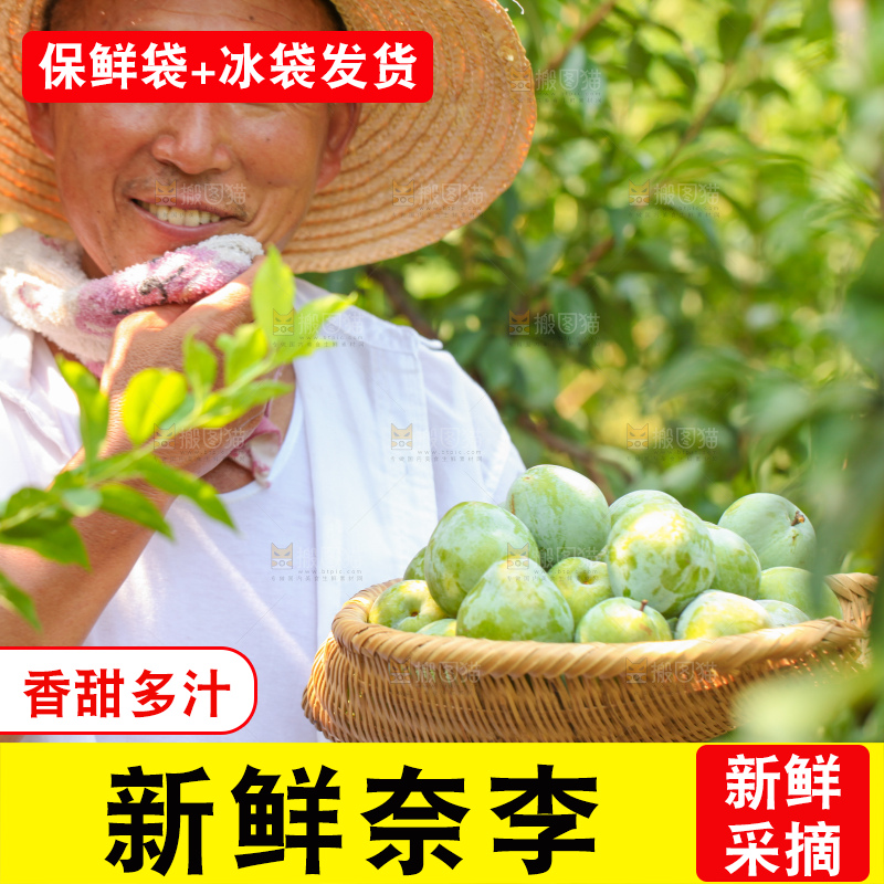 手里拿着新鲜奈李