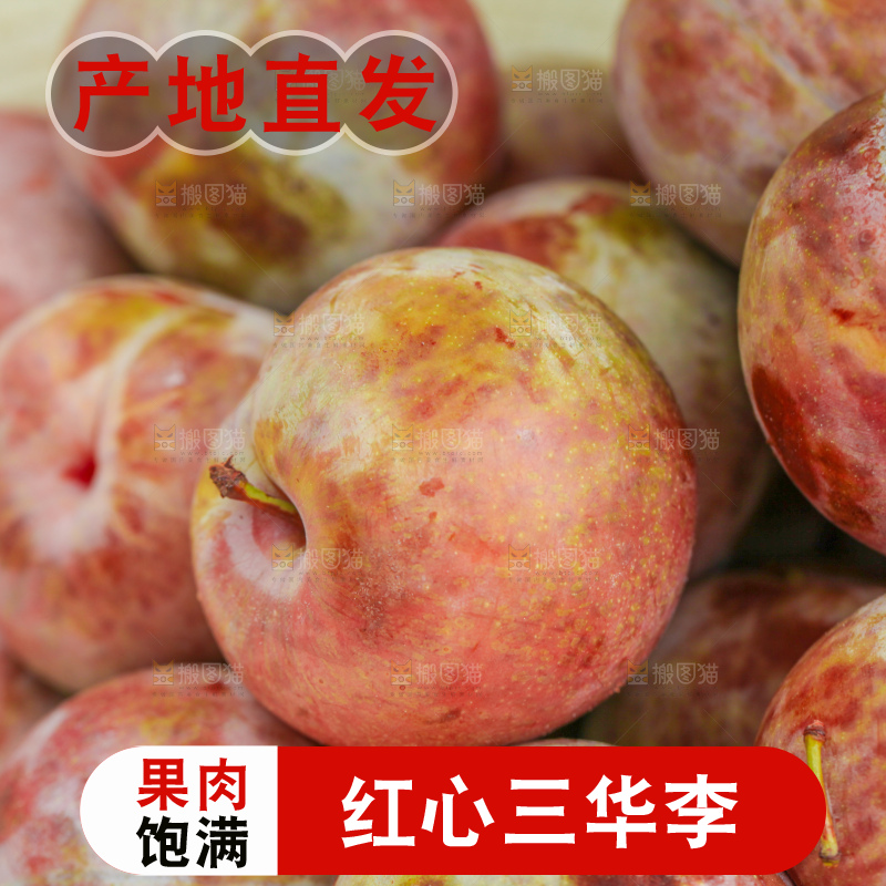 地上放着现摘三华李