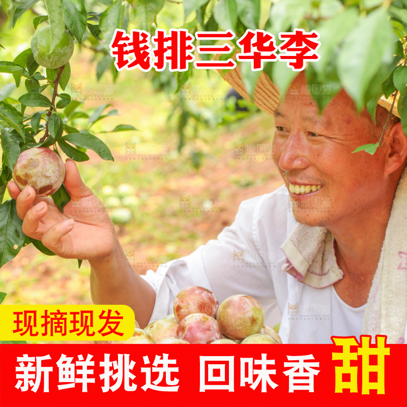 手里拿着新鲜三华李