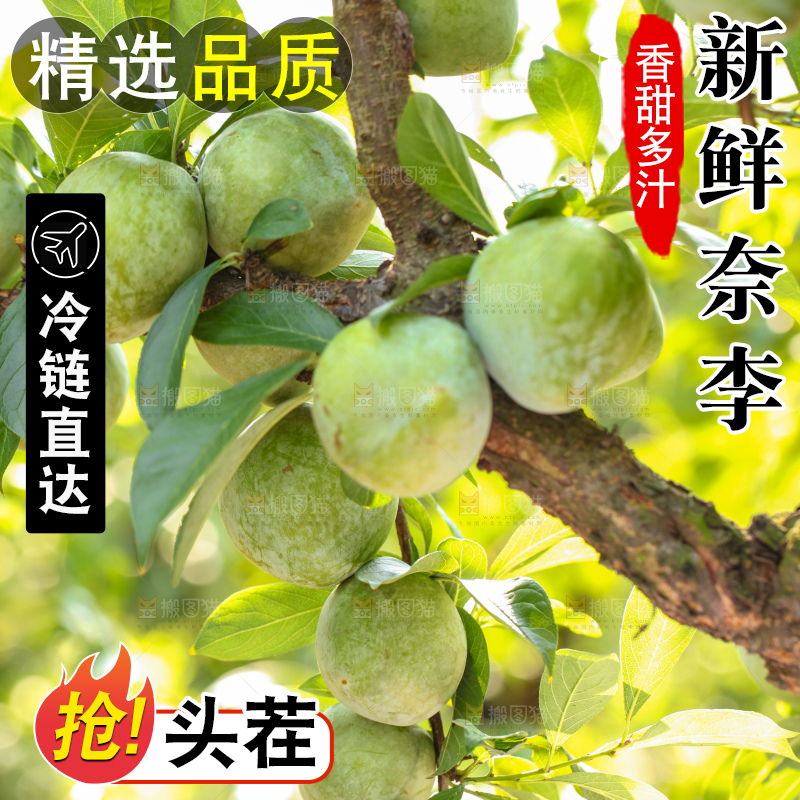 树上的新鲜奈李