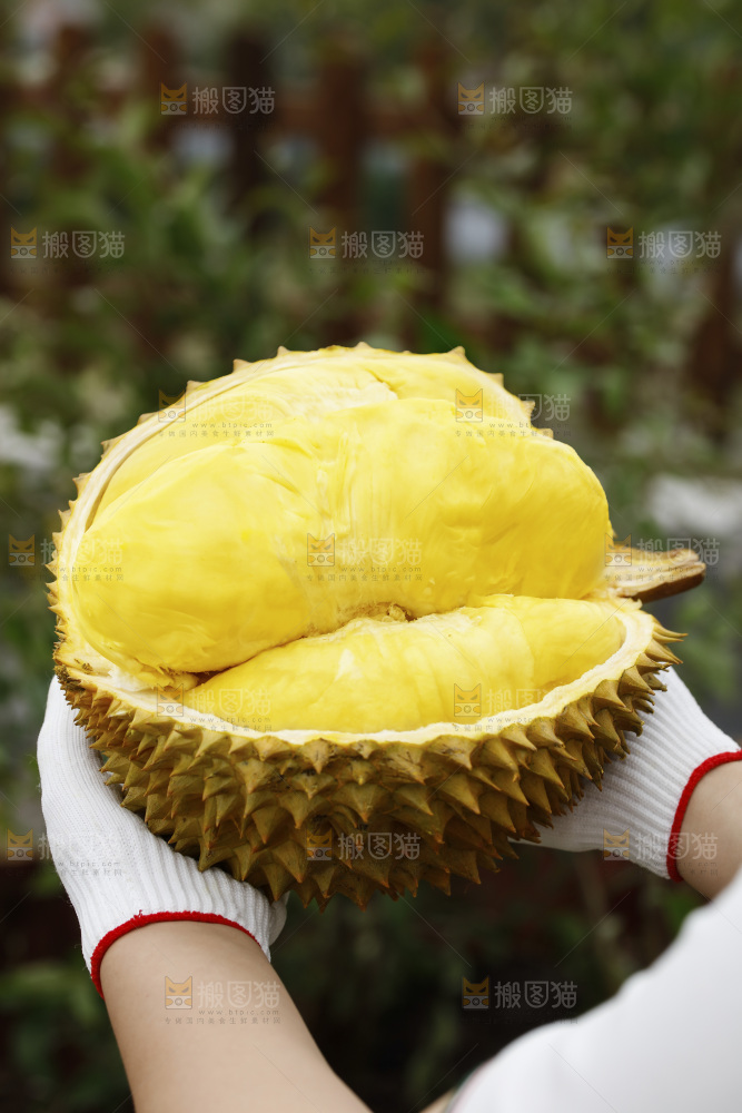 榴莲