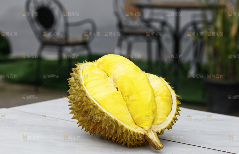 榴莲