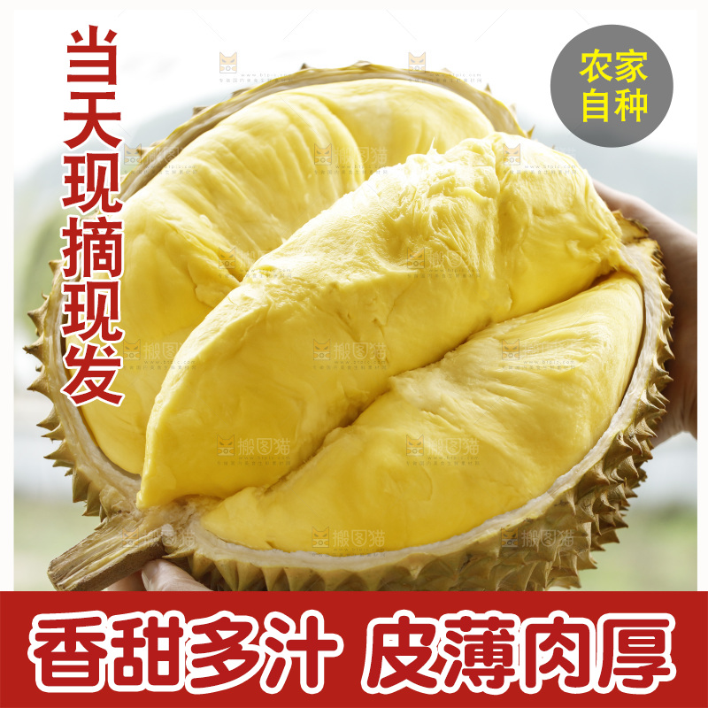 手里拿着金枕榴莲