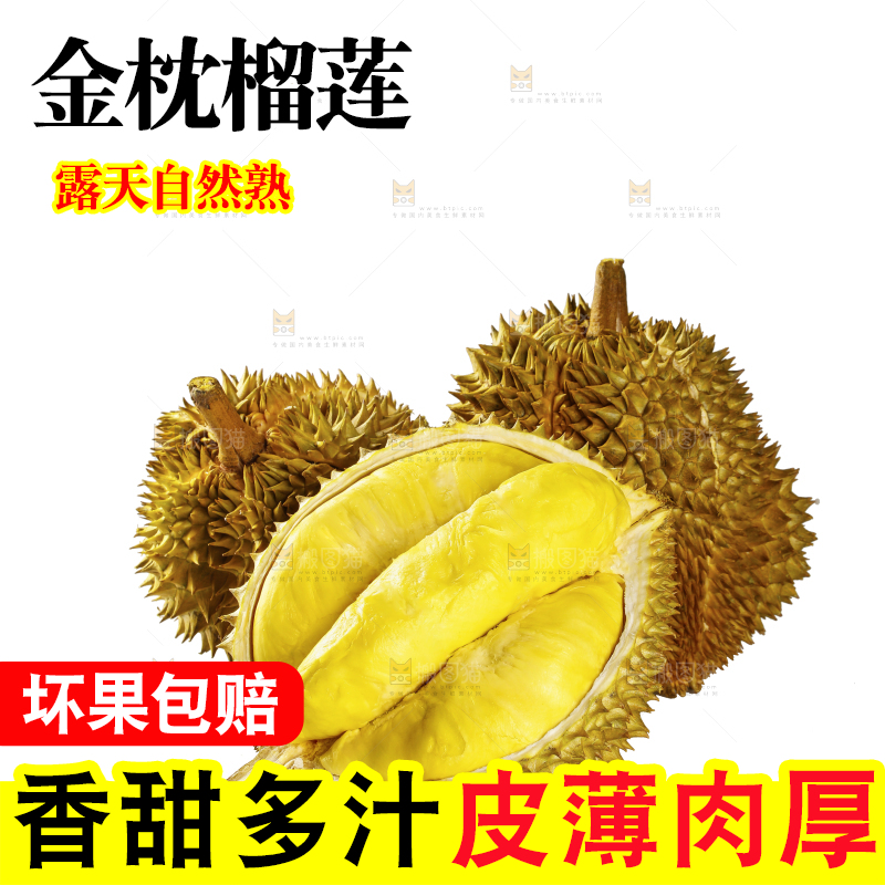 白底上的金枕榴莲