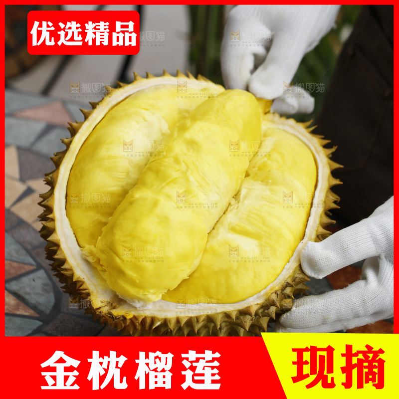 手里拿着金枕榴莲