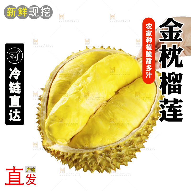 白底上的金枕榴莲