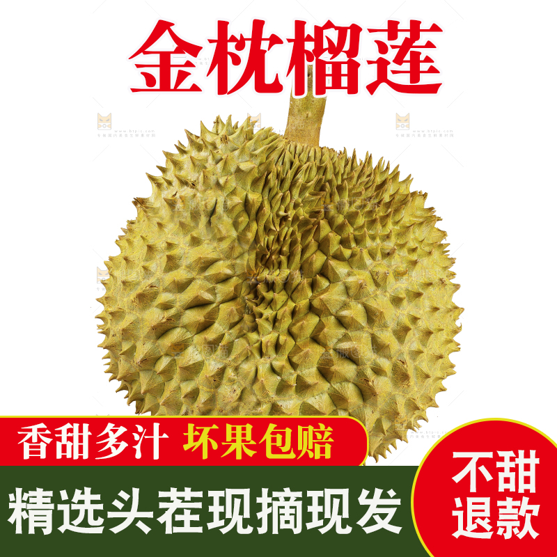 白底上的金枕榴莲